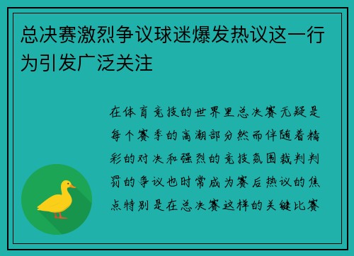总决赛激烈争议球迷爆发热议这一行为引发广泛关注